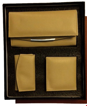 ست تبلیغاتی چرم 547