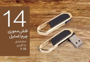 فلش مموری چرم و استیل 8 گیگ کد14